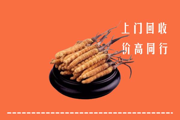 高价求购：天水回收散虫草
