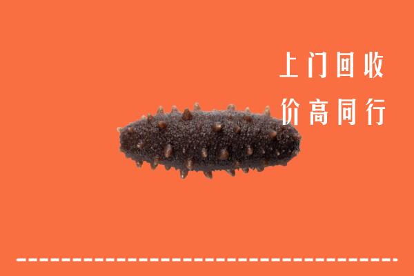 天水回收海参