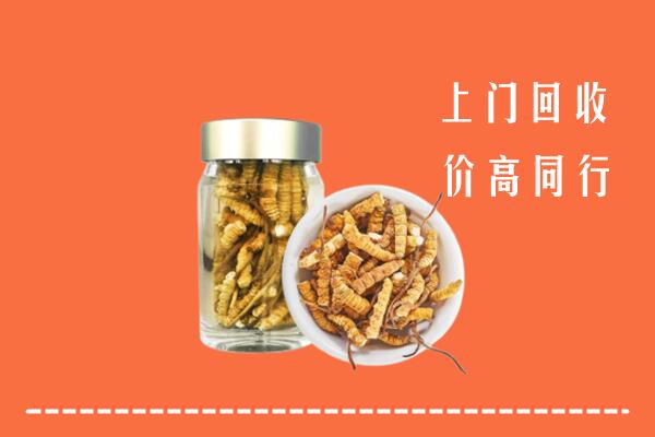 天水回收冬虫夏草